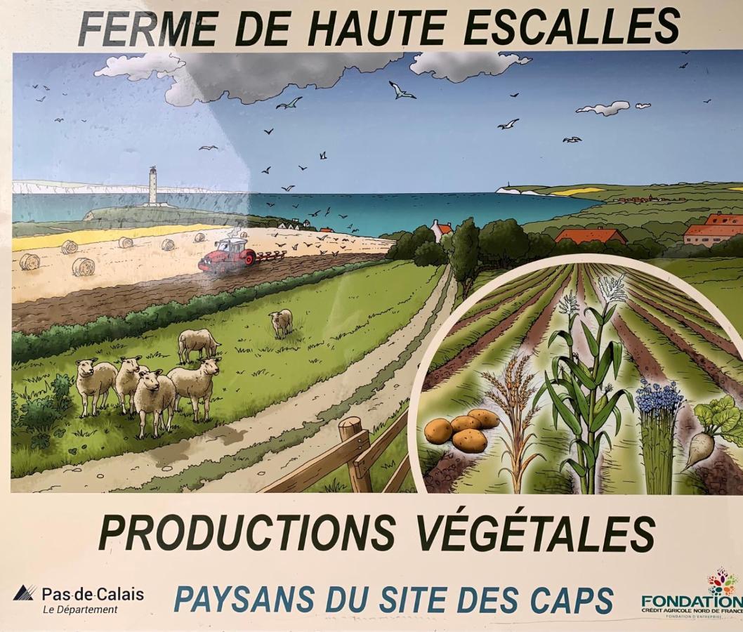 Ferme De La Haute-Escalles Exteriér fotografie
