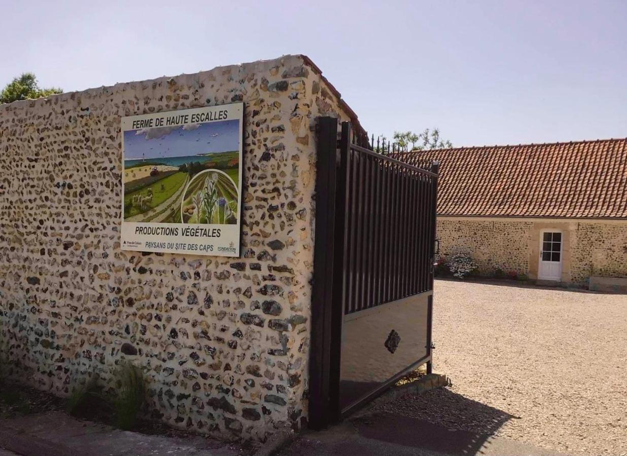 Ferme De La Haute-Escalles Exteriér fotografie